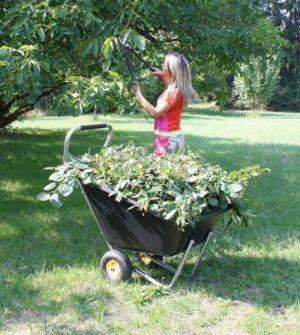 Chariots de jardin