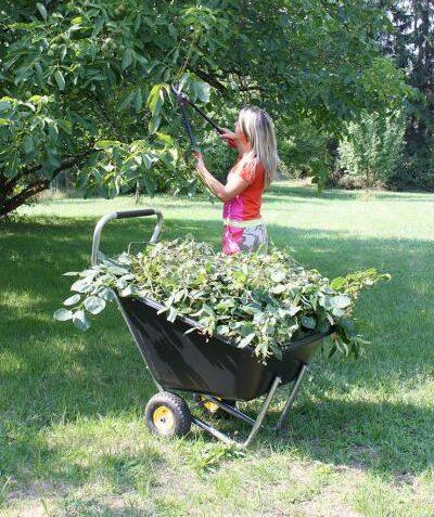 chariot de jardin multi-usage pouvant transporter jusqu'à 300kg